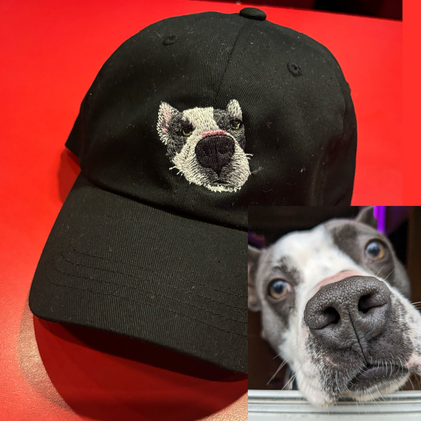 Personalized Pet Hats